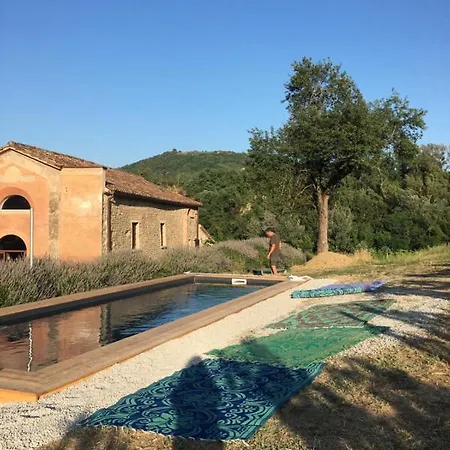 Bed & Breakfast Azienda Agricola Baccagnano