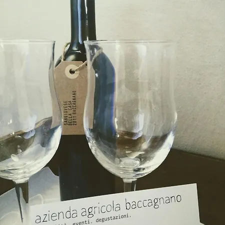 Azienda Agricola Baccagnano