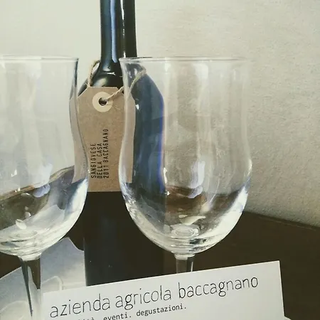 Azienda Agricola Baccagnano 3* Brisighella