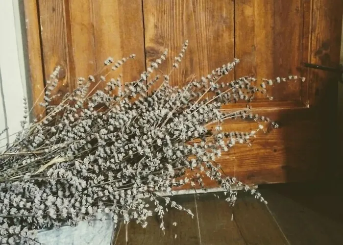 Azienda Agricola Baccagnano 3* Brisighella