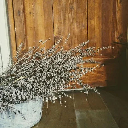 Azienda Agricola Baccagnano 3* 브리시그헬라