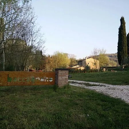 Azienda Agricola Baccagnano Brisighella