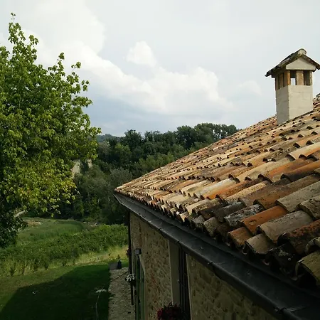 Bed & Breakfast Azienda Agricola Baccagnano